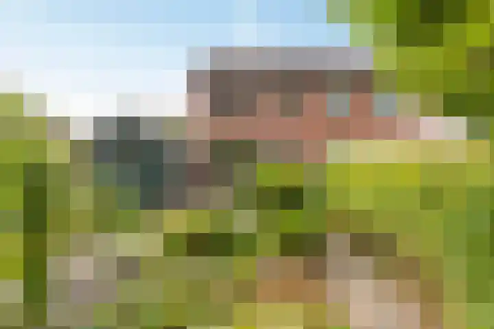 Oldemaad 43 Oosterwolde thumbnail 32