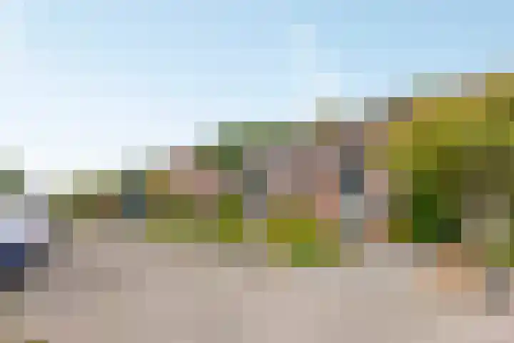 Oldemaad 43 Oosterwolde thumbnail 9