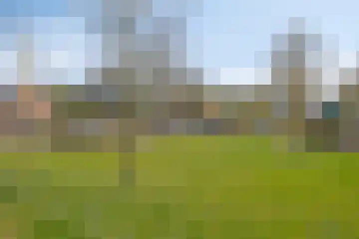 Oldemarktseweg 147 Steenwijkerwold thumbnail 46