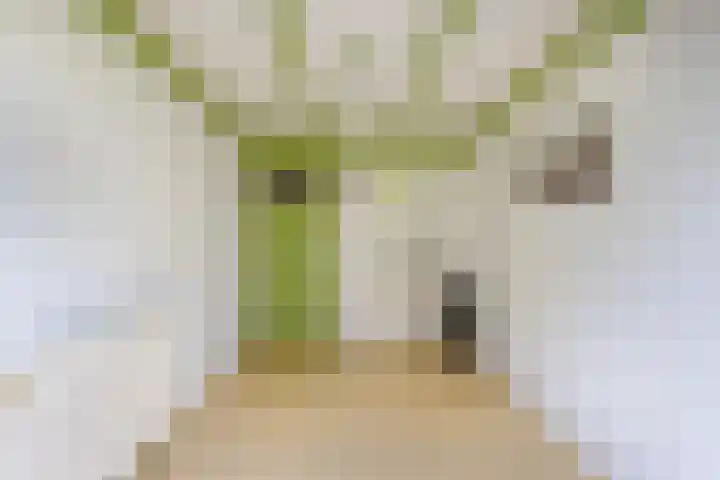 Oldemarktseweg 15 Tuk thumbnail 31