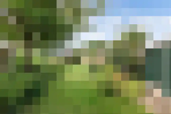 Oldemarktseweg 15 Tuk thumbnail 39