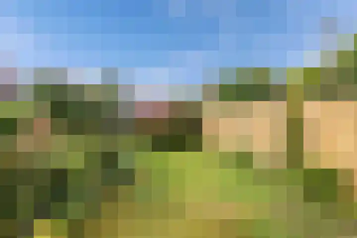 Oldemarktseweg 15 Tuk thumbnail 42
