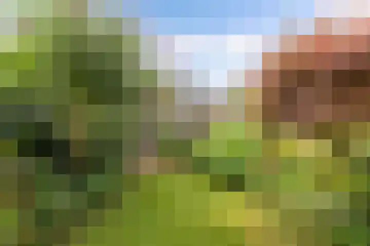 Oldemarktseweg 15 Tuk thumbnail 43