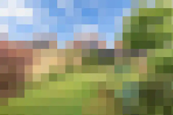 Oldemarktseweg 15 Tuk thumbnail 45