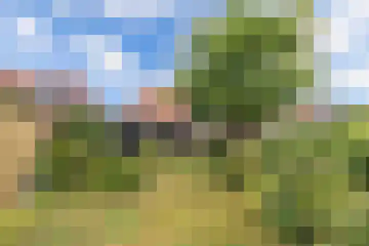 Oldemarktseweg 15 Tuk thumbnail 46