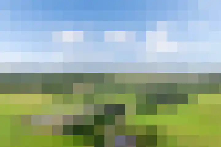 Oldemarktseweg 15 Tuk thumbnail 48