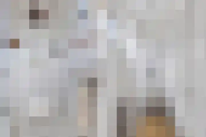 Oldemarktseweg 15 Tuk thumbnail 5