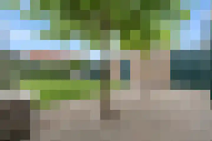 Oldemarktseweg 155 Steenwijkerwold thumbnail 31