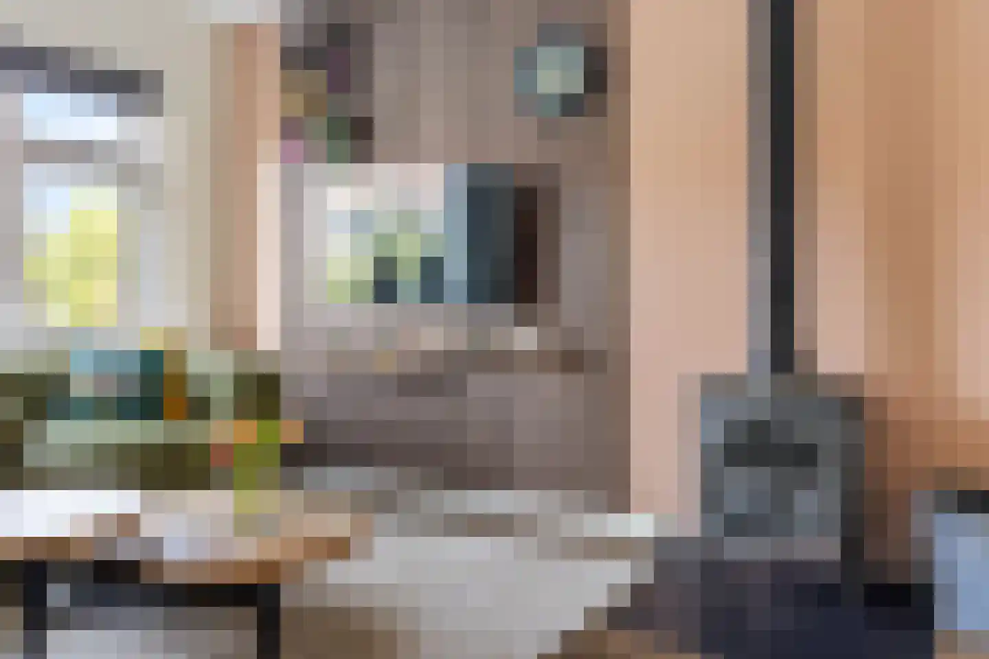 Oldemarktseweg 21 Tuk thumbnail 11