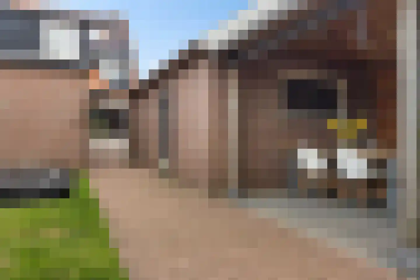 Oldemarktseweg 21 Tuk thumbnail 44