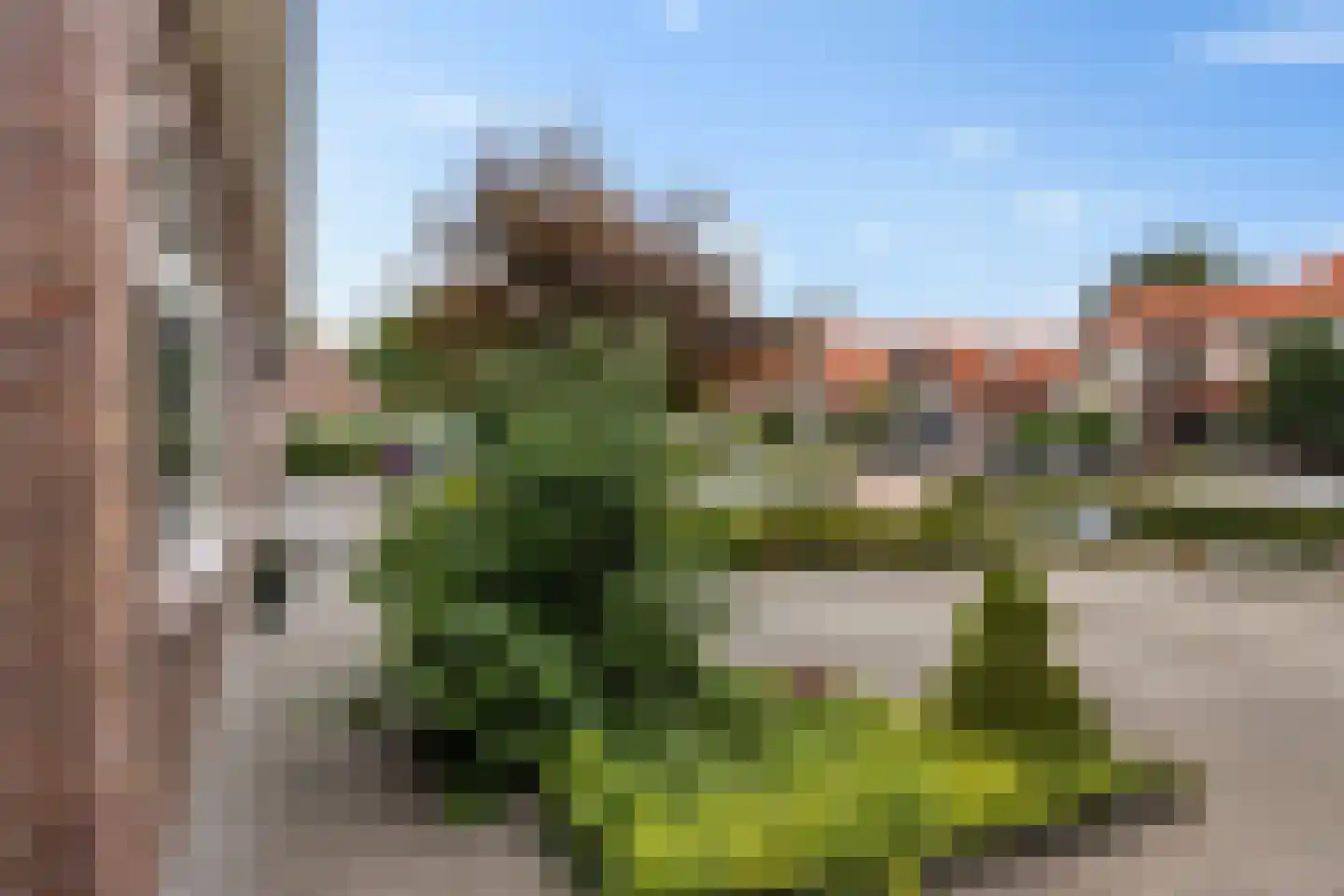 Oldemarktseweg 21 Tuk thumbnail 8