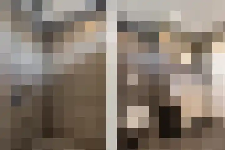 Oldemarktseweg 24 Tuk thumbnail 22