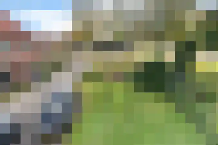 Oldemarktseweg 24 Tuk thumbnail 28