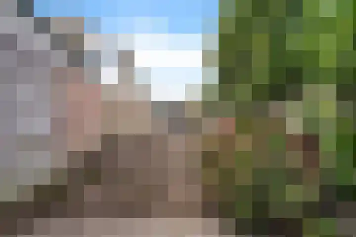 Oldemarktseweg 24 Tuk thumbnail 35