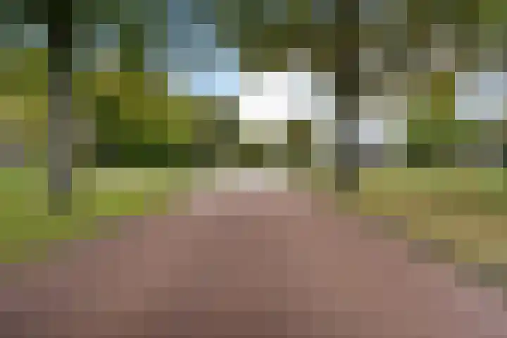 Oldemarktseweg 24 Tuk thumbnail 7