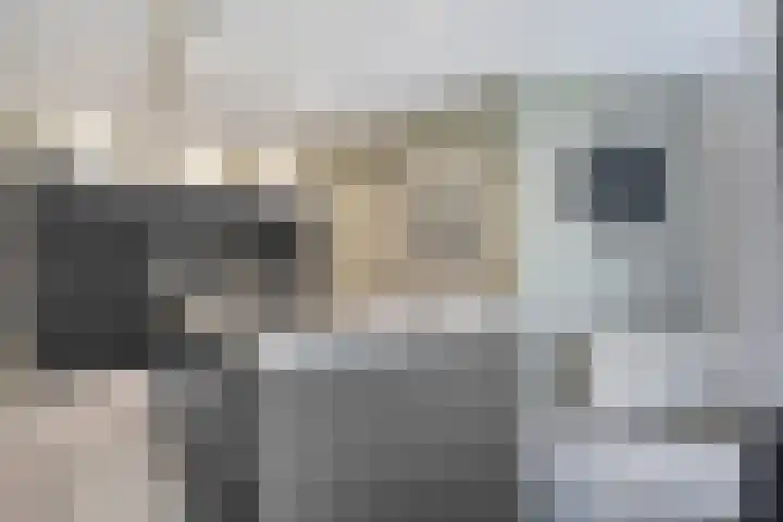 Oldemarktseweg 53 Tuk thumbnail 11