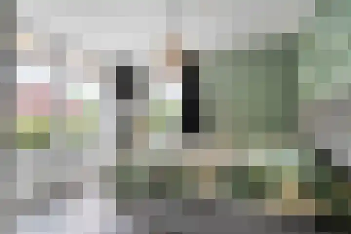 Oldemarktseweg 53 Tuk thumbnail 14