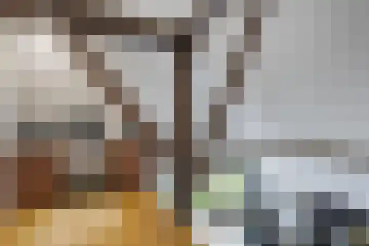 Oldemarktseweg 53 Tuk thumbnail 26