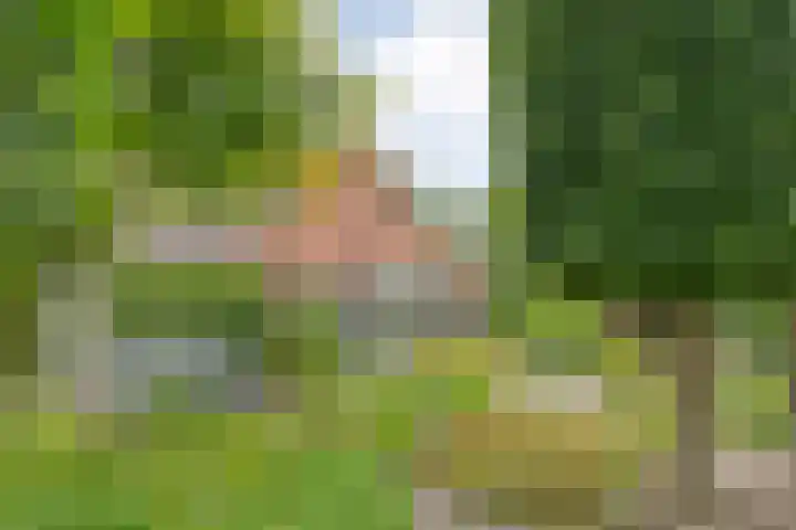 Oldemarktseweg 53 Tuk thumbnail 31