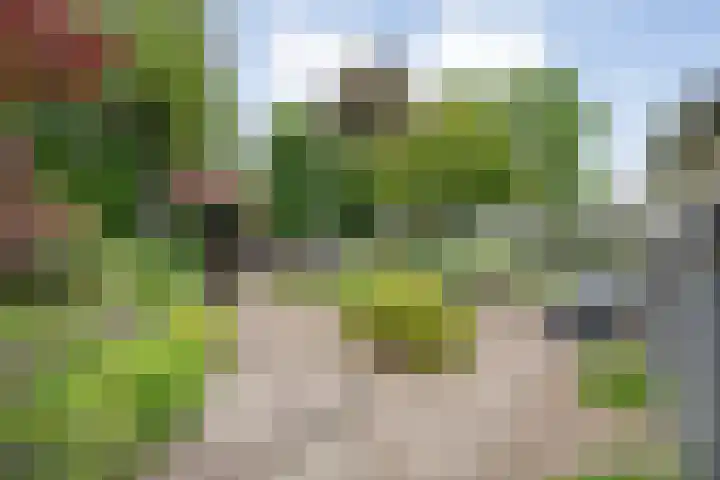 Oldemarktseweg 53 Tuk thumbnail 32