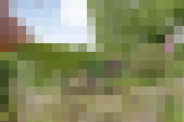Oldemarktseweg 53 Tuk thumbnail 33