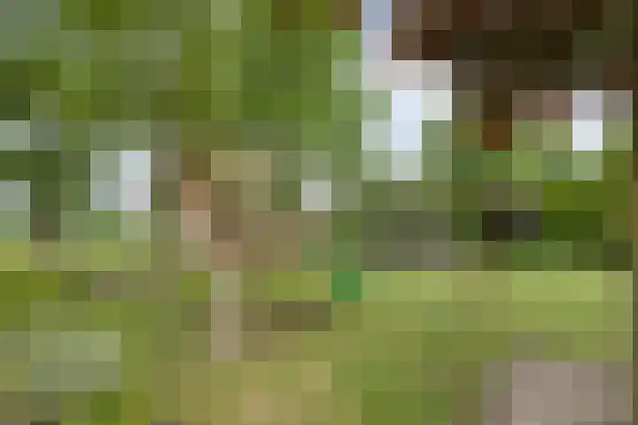 Oldemarktseweg 53 Tuk thumbnail 40