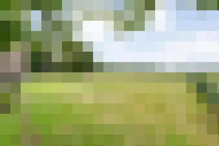 Oldemarktseweg 53 Tuk thumbnail 42