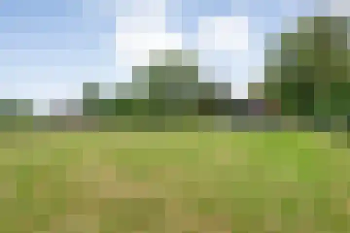 Oldemarktseweg 53 Tuk thumbnail 43