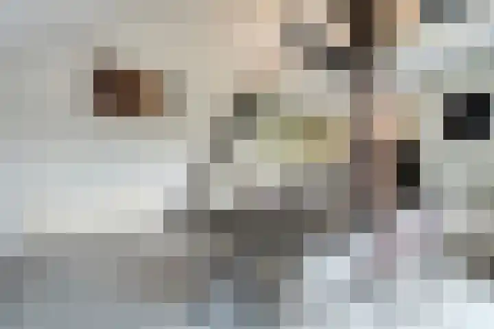 Oldemarktseweg 53 Tuk thumbnail 8