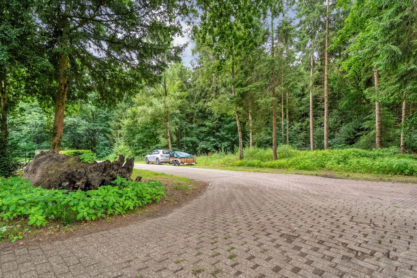 Oldemeijerweg 6 Rheezerveen thumbnail 63
