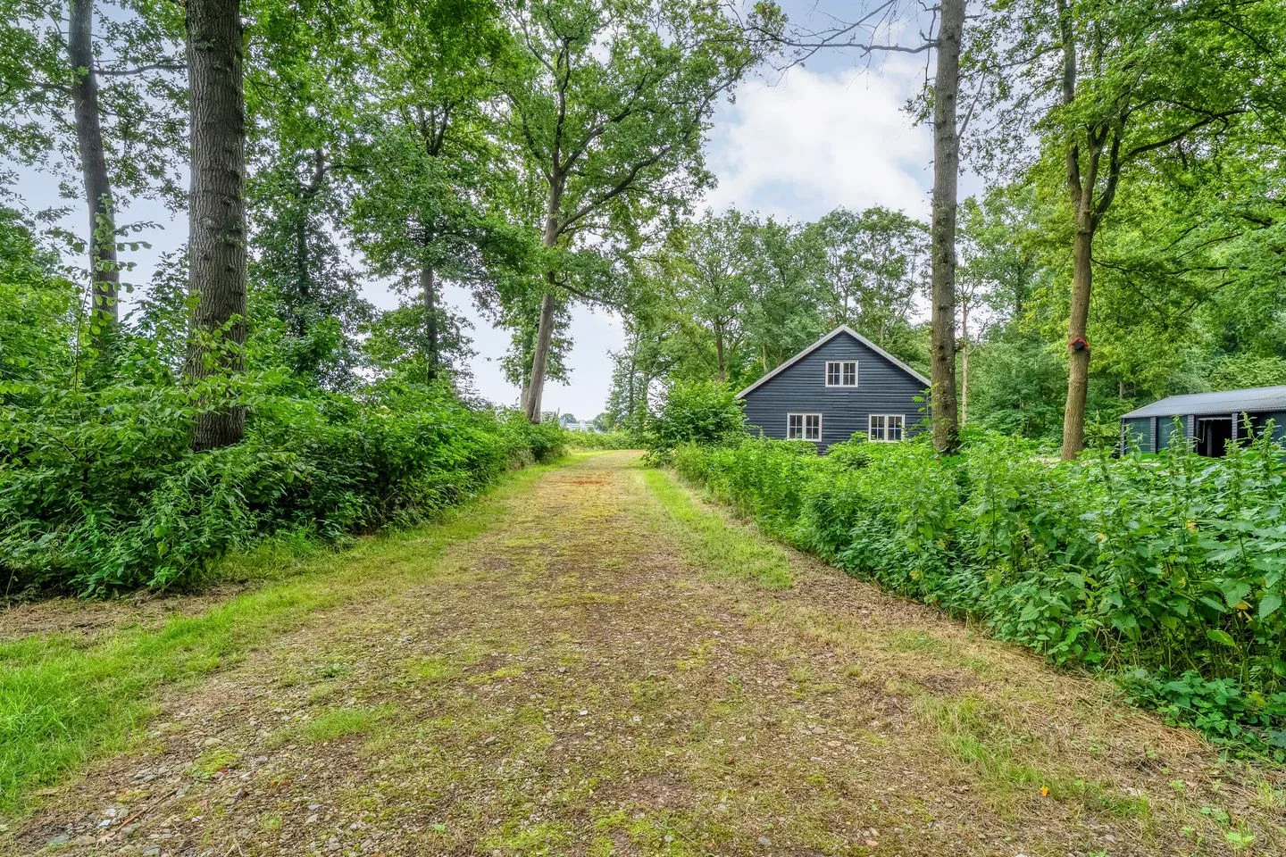 Oldemeijerweg 6 Rheezerveen thumbnail 64