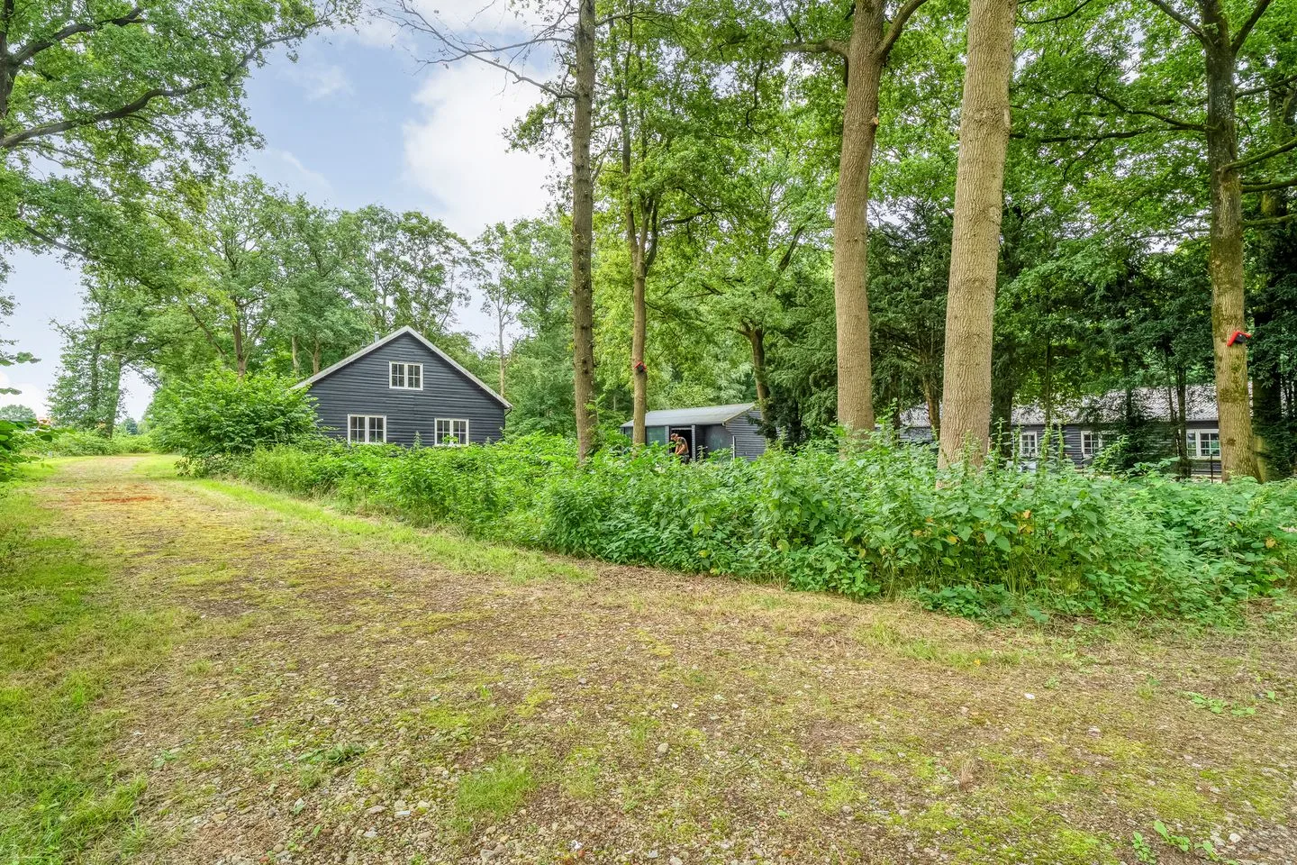 Oldemeijerweg 6 Rheezerveen thumbnail 65