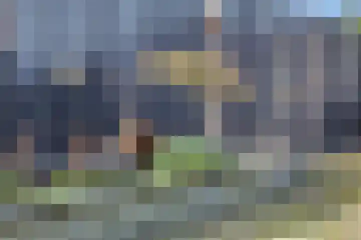 Oldemeulehoek 100 Enschede thumbnail 30