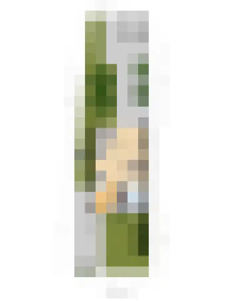 Oldemeulehoek 100 Enschede thumbnail 37