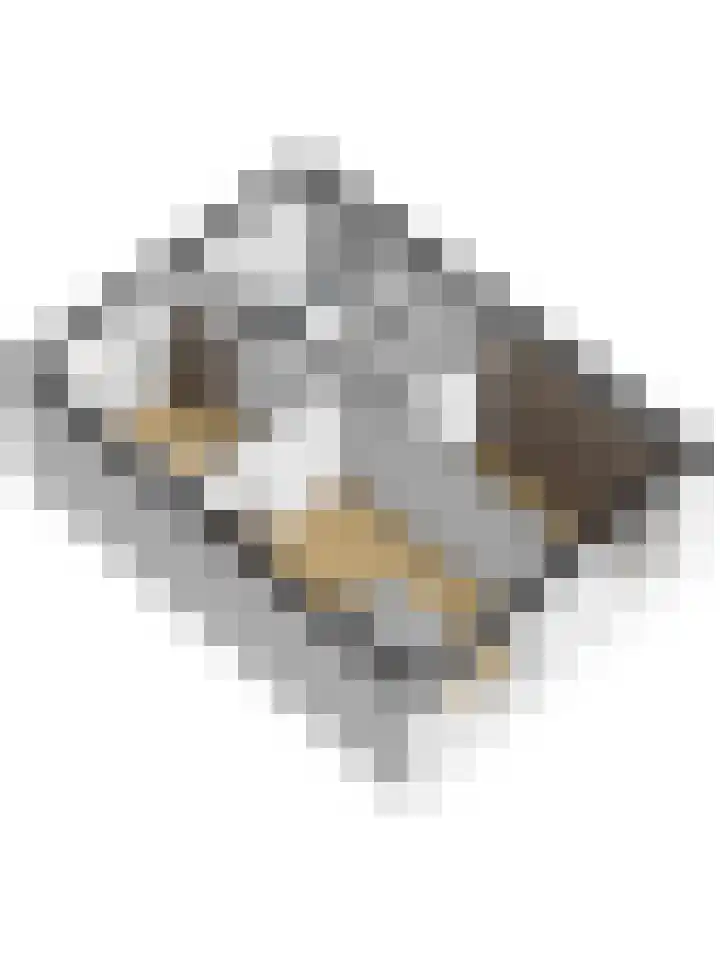 Oldemeulehoek 100 Enschede thumbnail 39