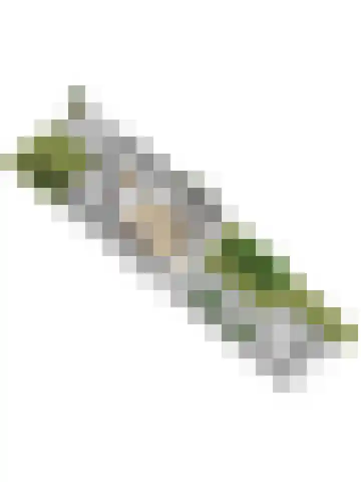 Oldemeulehoek 100 Enschede thumbnail 41