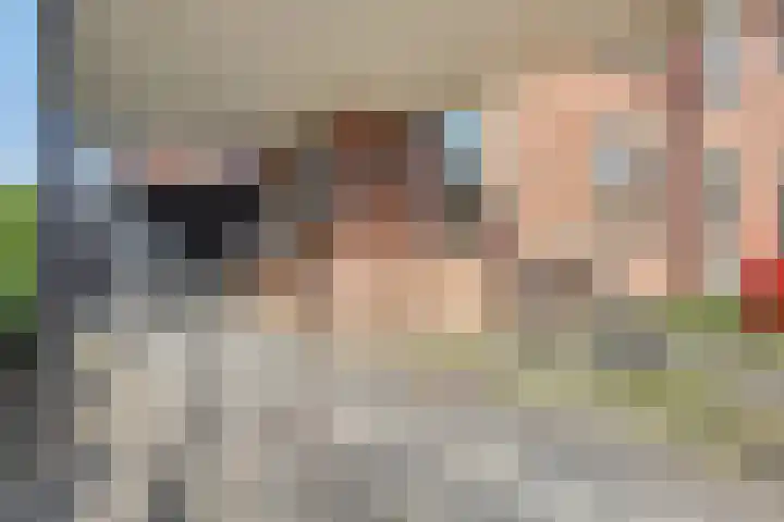 Oldemeulehoek 100 Enschede thumbnail 6