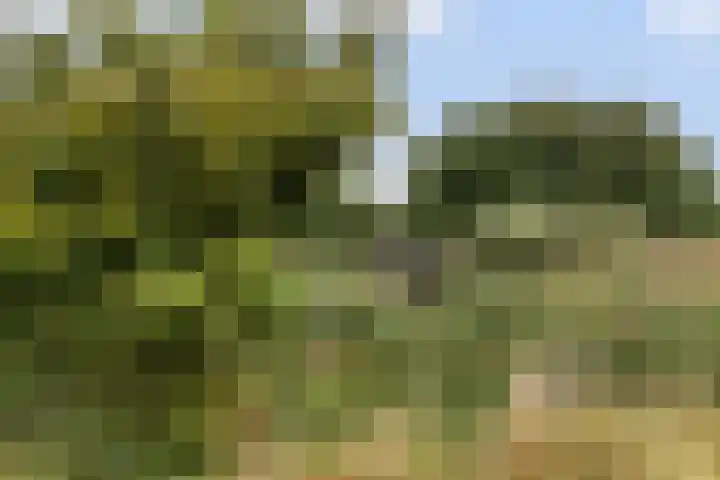 Oldenallerhout 12 Harderwijk thumbnail 24