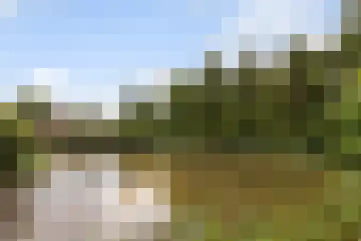 Oldenallerhout 12 Harderwijk thumbnail 25