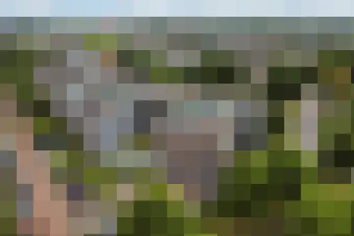 Oldenallerhout 12 Harderwijk thumbnail 26