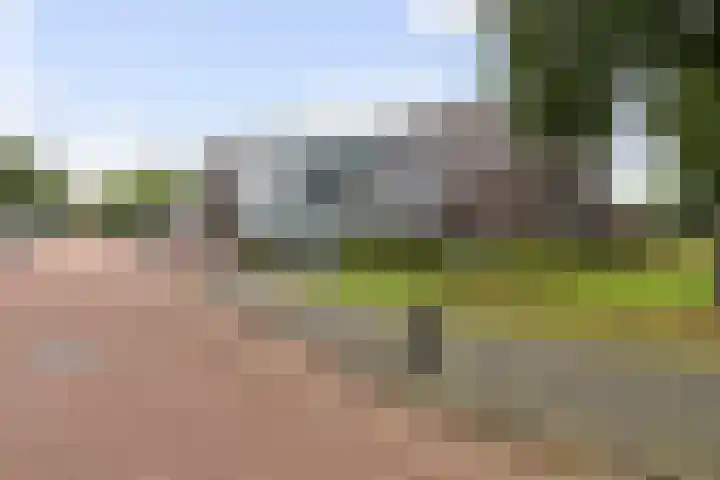 Oldenallerhout 12 Harderwijk thumbnail 28