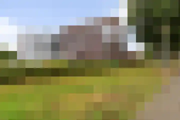 Oldenallerhout 12 Harderwijk thumbnail 29