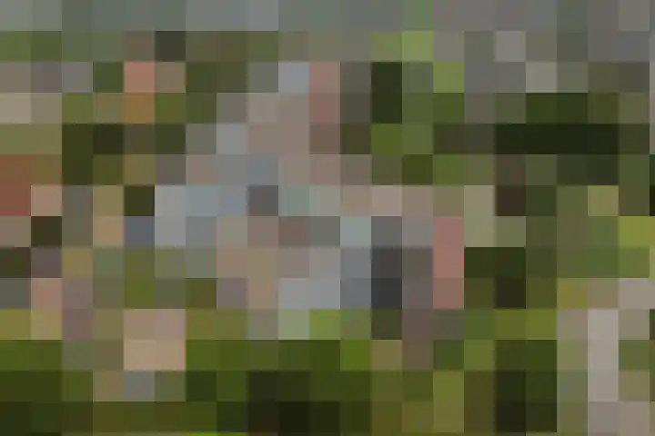 Oldenallerhout 12 Harderwijk thumbnail 5