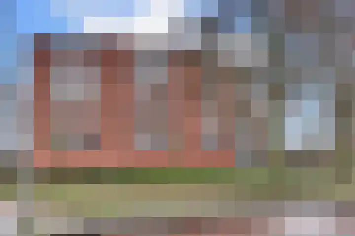 Oldenallerhout 138 Harderwijk thumbnail 41