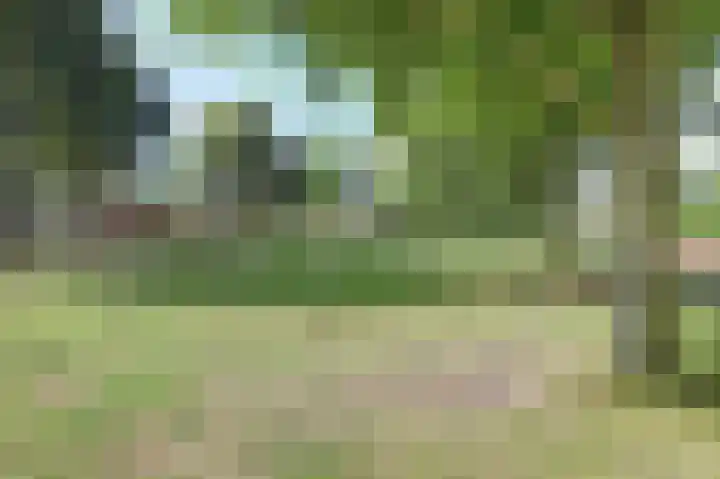 Oldenallerhout 142 Harderwijk thumbnail 28