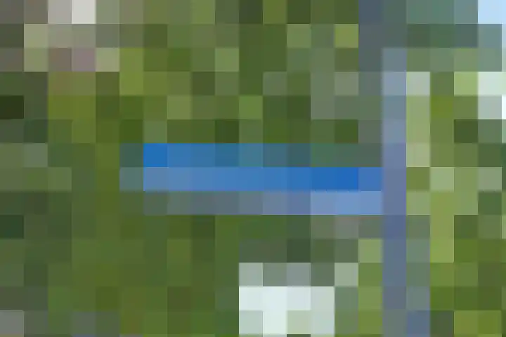 Oldenallerhout 142 Harderwijk thumbnail 5