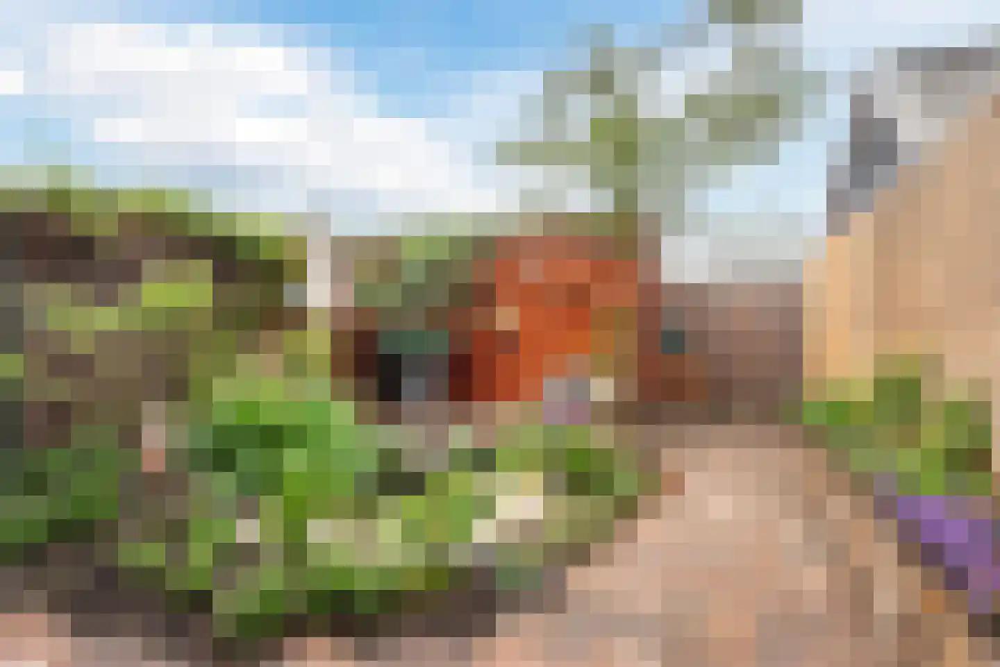 Oldenallerhout 17 Harderwijk thumbnail 40
