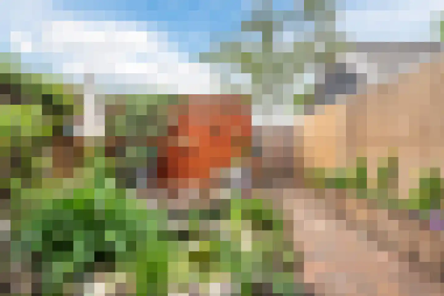 Oldenallerhout 17 Harderwijk thumbnail 41