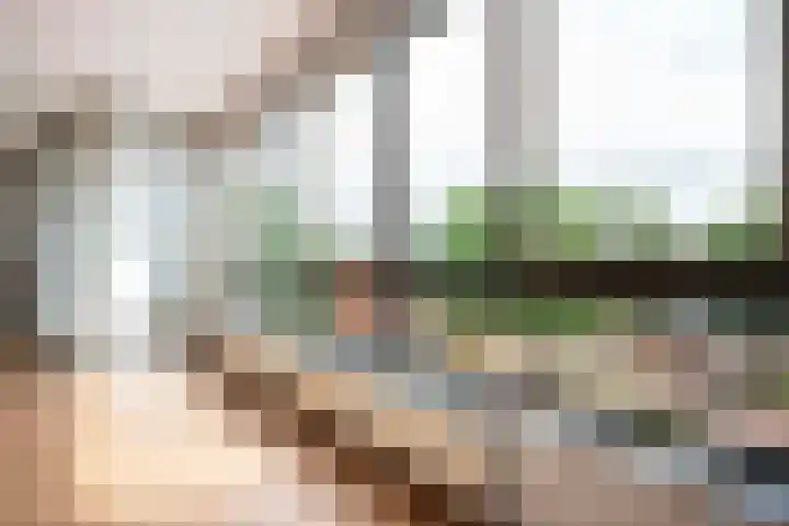Oldenallerhout 22 Harderwijk thumbnail 15