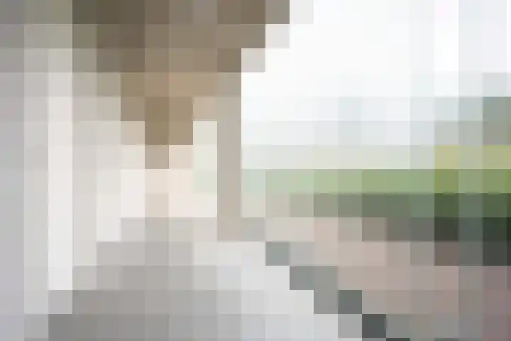 Oldenallerhout 22 Harderwijk thumbnail 29